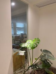 -兰瑜伽·普拉提·塑形