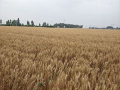 -兴芮温泉度假区