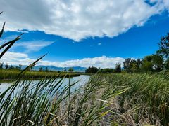 -野鸭湖国家湿地公园