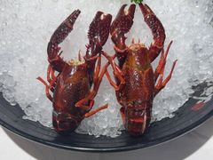 -洪福龙虾