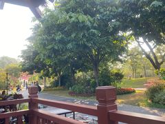 -东莞植物园