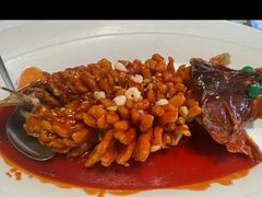 -松鹤楼·非遗·苏帮菜(融科店)