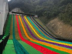 -梦幻奥陶纪景区