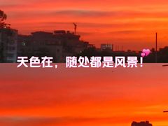 -长洲岛