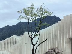 -中国宣纸文化园