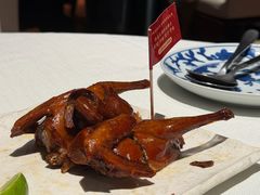 -侨美食家·41年地道粤菜(珠江新城店)