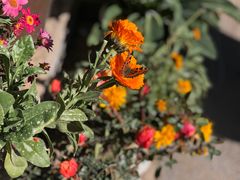 -玉雪春天(中正花园店)