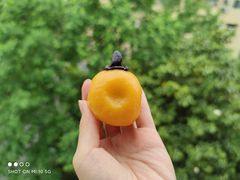 青团-5食堂