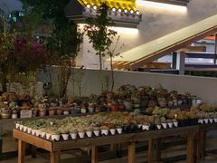 -禾气食店