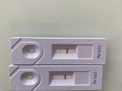 -宠福鑫康馨动物医院·骨科·眼科