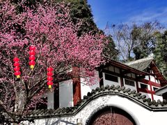 -成都杜甫草堂博物馆