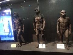 -北京周口店北京人遗址博物馆