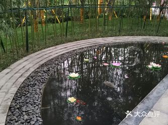 路过一条小路还有水池，还挺别致的。楼盘不是很大