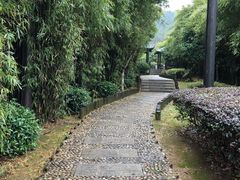 -九龙潭景区