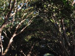 -海南热带海洋学院(三亚校区)