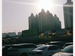 -秦美花卉(天朗·莱茵小城2期店)