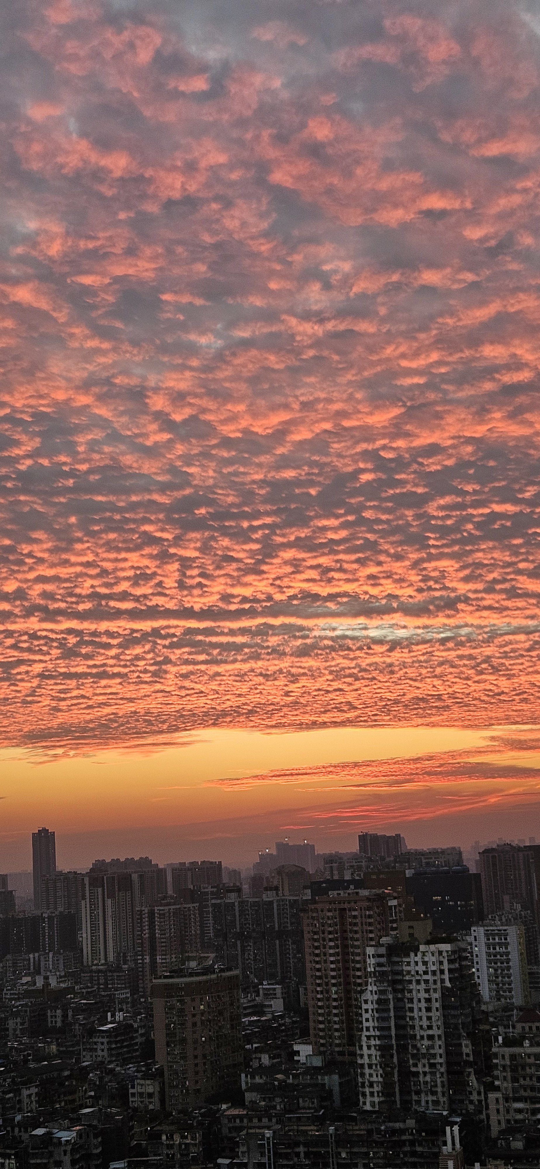 广州的世纪晚霞