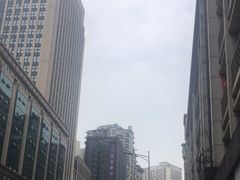 -重庆惠民癫康医院