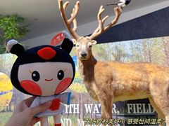 -溱湖国家湿地公园