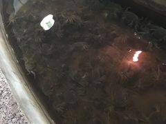 -夏家大锅台炖鱼馆