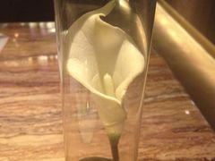 -蝴蝶汇音乐酒馆(罗湖店)