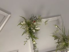 -春树下·树屋花房西餐厅(罍街AS1980店)