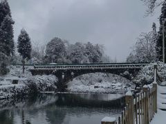 -龙苍沟森林公园