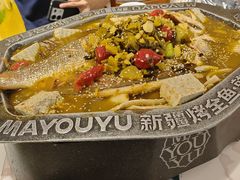 -马有鱼·馕坑烤全鱼(美美2店)