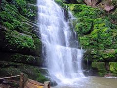 -鲜椒鱼·雅安地标性美食