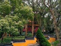 -普陀山风景名胜区-法雨禅寺