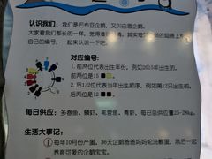 -芜湖新华联大白鲸海洋公园