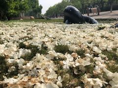 -汉口江滩-五福广场