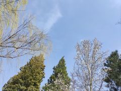 -颐和园