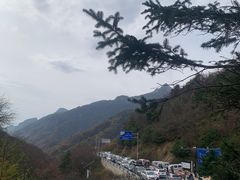 -秦岭风景区
