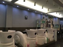 -维卡 Salon