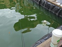 -DGE季风钓虾营地·团建·聚会