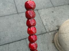 -糖葫芦王保定名吃(古莲花池店)