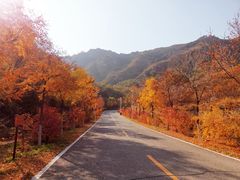 -密云玫瑰情园