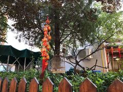 -正宗天津烧麦馆(柳州路店)