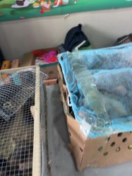 -268童话露营农场·烧烤·团建