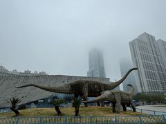 -安徽省地质博物馆
