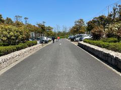 -春花秋色城市公园