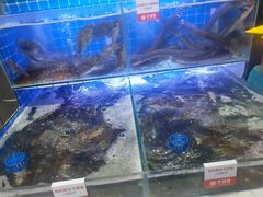 -大锅强·蒸海鲜青岛菜(吾悦广场店)