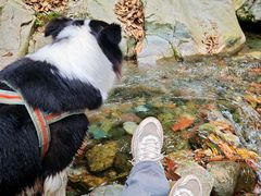 -西岭雪山大飞水景区