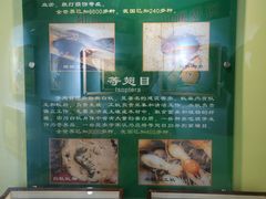 -上海昆虫博物馆