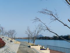 -羊山湖公园