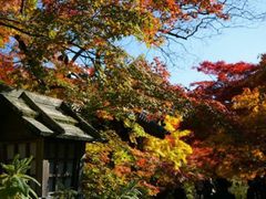 -常寂光寺