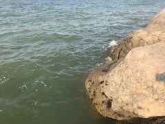 -在海一方公园