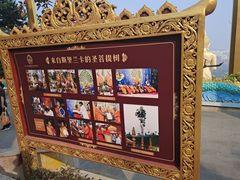 -西双版纳勐泐文化旅游区