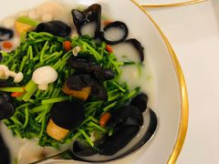 -伯衡55·吉品轩(乌鲁木齐南路店)